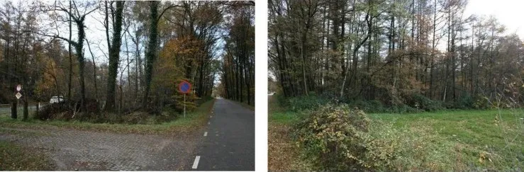 Speelveld naast de blokhut